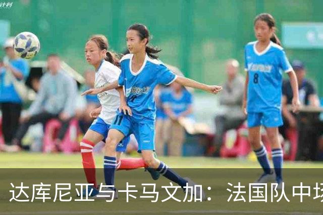 达库尼亚与卡马文加：法国队中场的新黄金组合